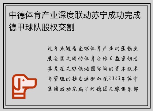 中德体育产业深度联动苏宁成功完成德甲球队股权交割